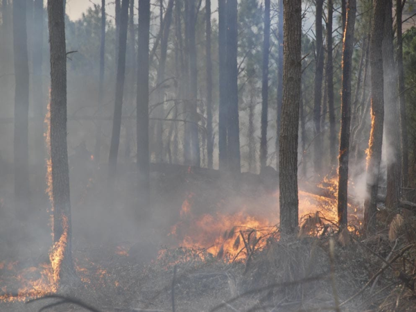 incendio_alerta ambiental