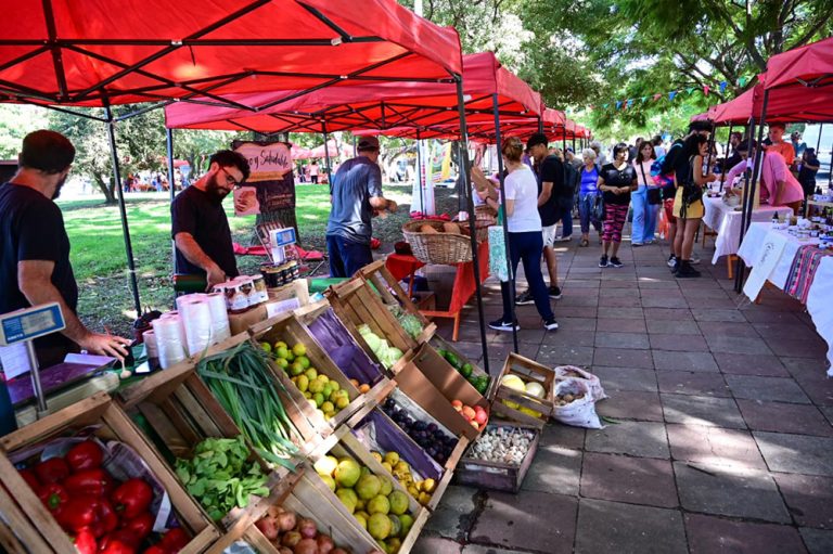 feria franca mercado