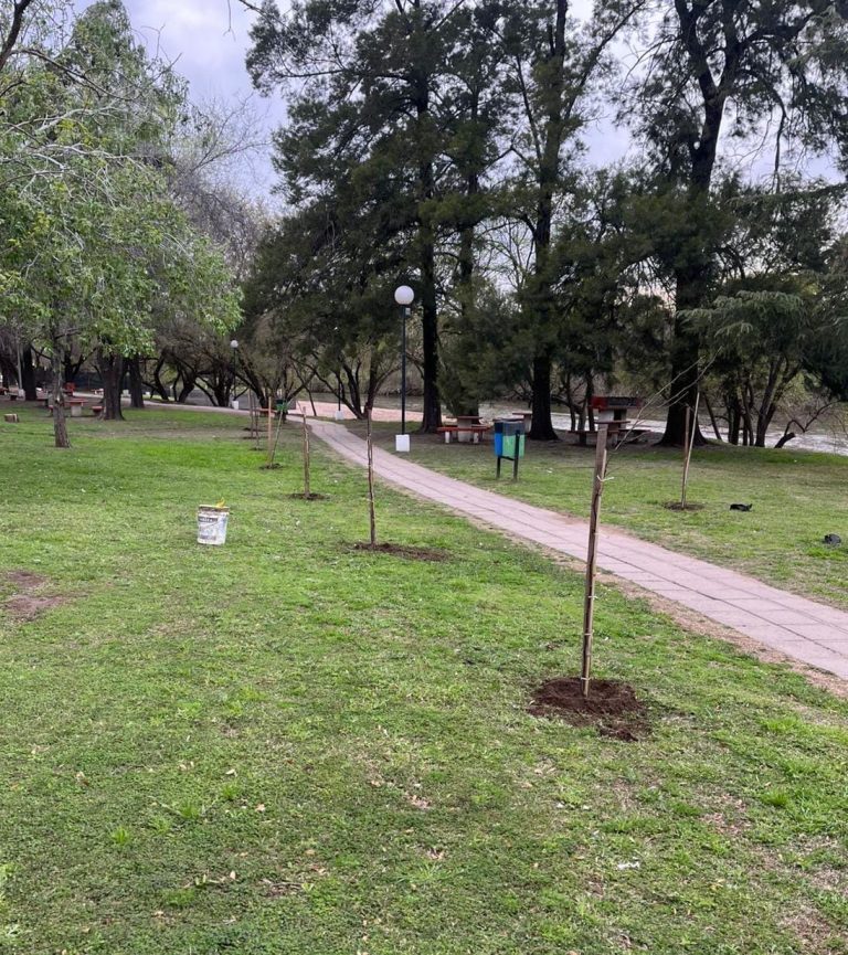 3a0d6748-f2f5-4725-b8c3-7e002f2bf748