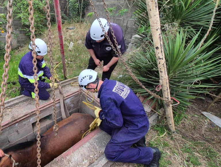 cfdc4250-882b-42b7-a0fb-d41dbc011861