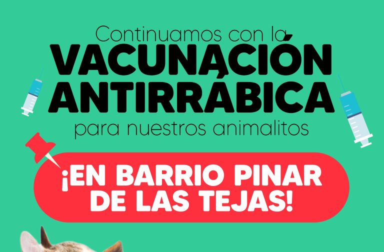vacunacionn