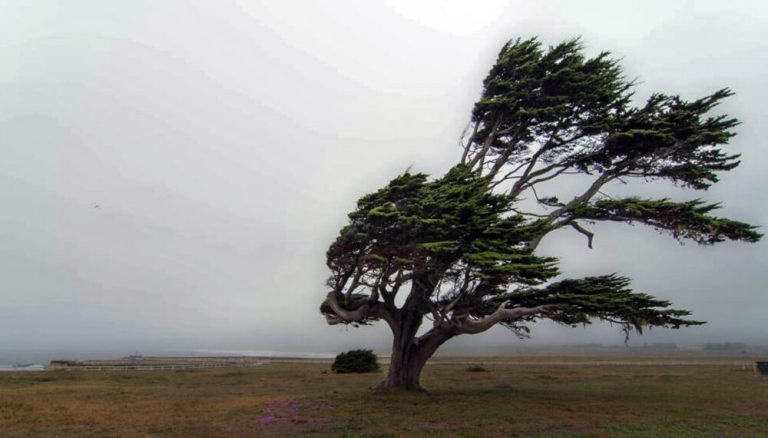 viento