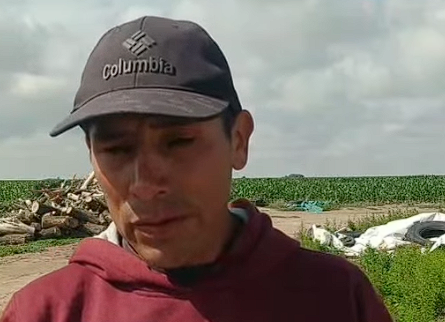 Elias Flores Lian Gael Flores Soraide