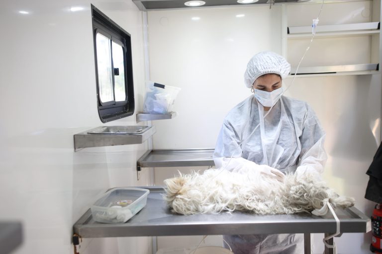 c6e4113a-08a3-4c83-8b5d-6c5702399727