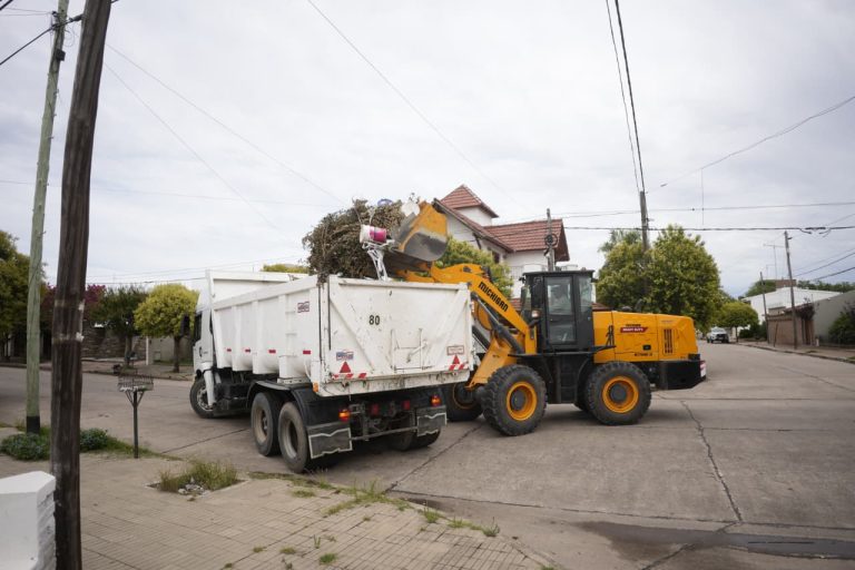 ordenamiento ambiental