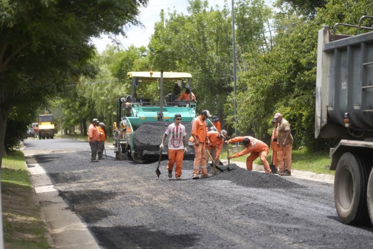 pavimentacion vista verde