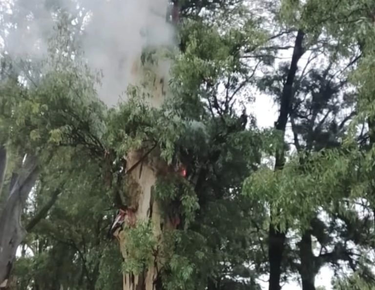 Screenshot_20260205_130717_Instagram