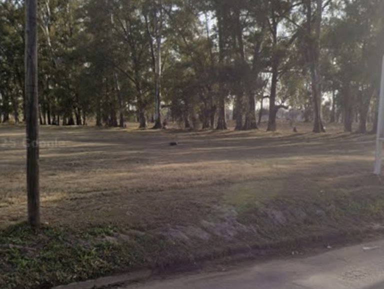 Screenshot_20260209_132206_Maps