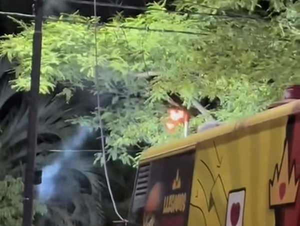 falla eléctrica_festival